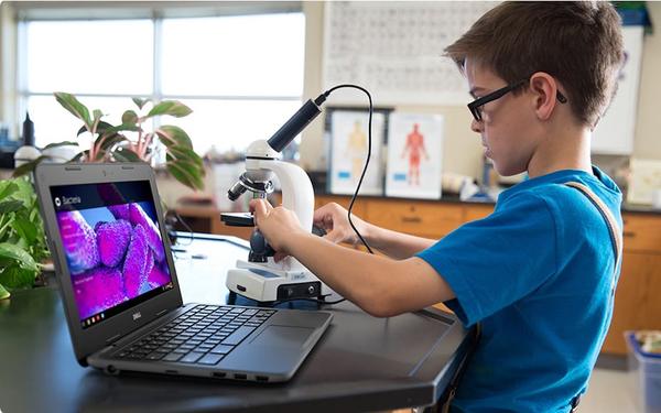 戴尔、惠普、微软、英特尔联名上书：关税上涨将导致产品价格提升