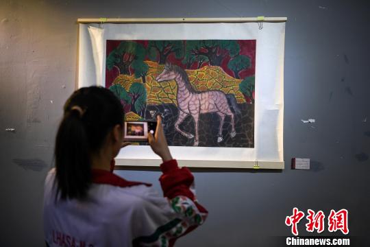 图为拉萨市民观看展览?！『闻罾?摄