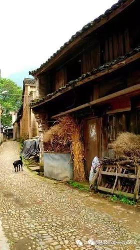 微信图片_20190626162609 微信图片_20190626162609