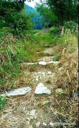 微信图片_20190626162616 微信图片_20190626162616