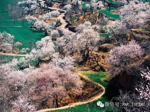 微信图片_20190626164358