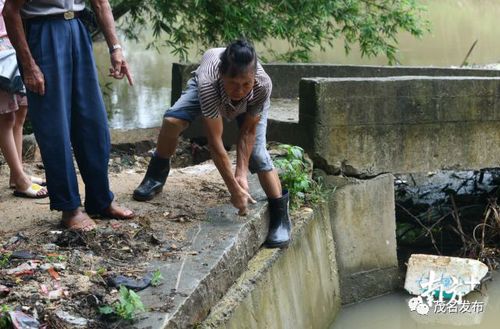 茂名81岁老人跳下4米深河救人:人命怎么样都要救