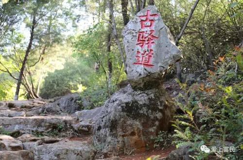 微信图片_20190627135720 微信图片_20190627135720