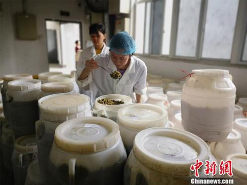 “网红”小吃螺蛳粉检验员：一天品尝10多碗粉保证口感