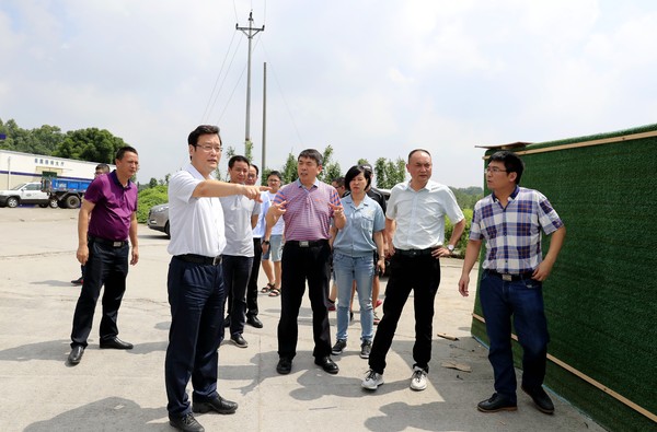 重庆市长寿区政协视察桃花河污染整治工作