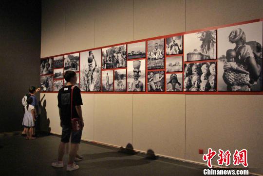 140件非洲雕刻艺术作品当天在山东美术馆亮相?！≌韵?摄