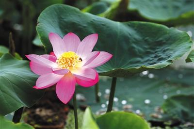 点击进入下一页