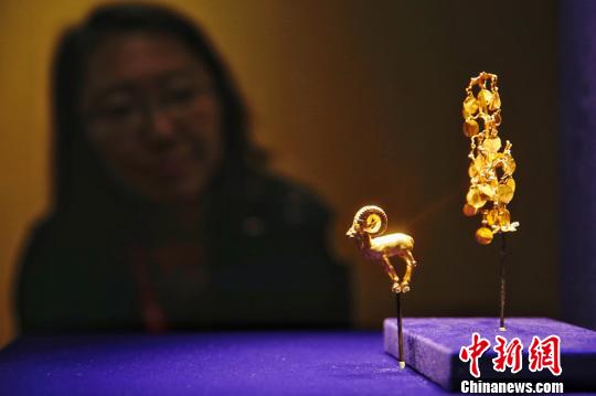 图为市民观展?！°蟛?摄