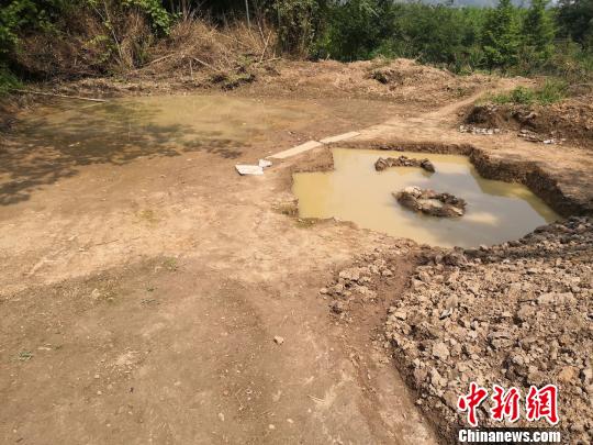 徐阶墓 祝原 摄 徐阶墓 祝原 摄