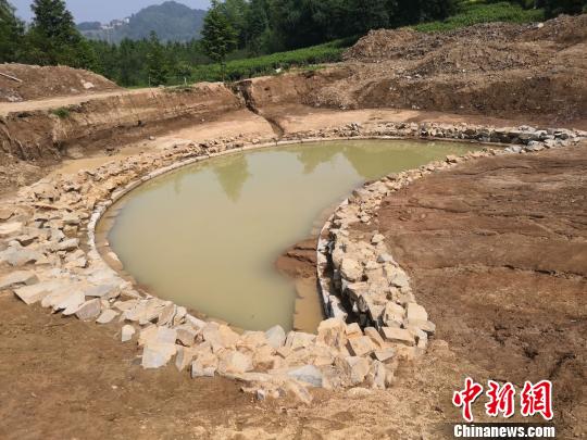 墓址旁水塘为“泮池” 祝原 摄 墓址旁水塘为“泮池” 祝原 摄