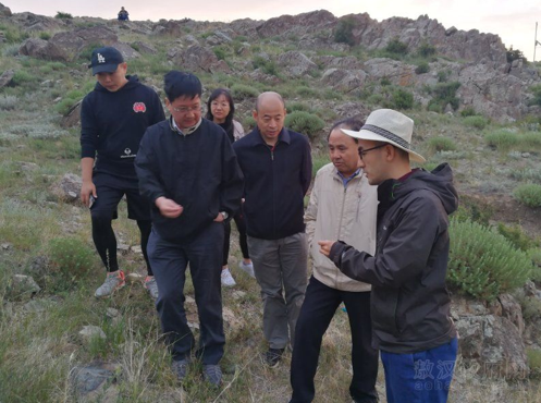 微信图片_20190709220122 微信图片_20190709220122