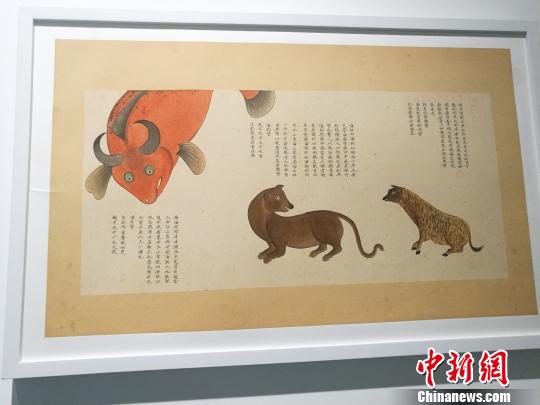 “故宫里的海洋世界--《海错图》多媒体综合展”，11日下午在深圳海上世界艺术文化中心开幕?！≈Ｐ『?摄