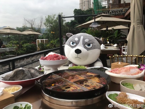 女子独自吃火锅时遇前男友遭嘲讽 怒怼火锅店:道歉