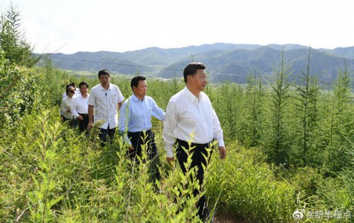 211746010815975886 211746010815975886