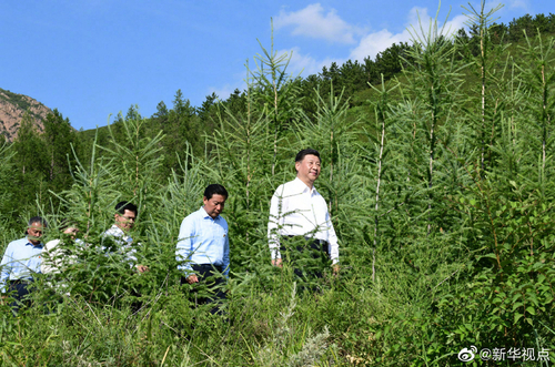 1124758532_15632434136921n 1124758532_15632434136921n