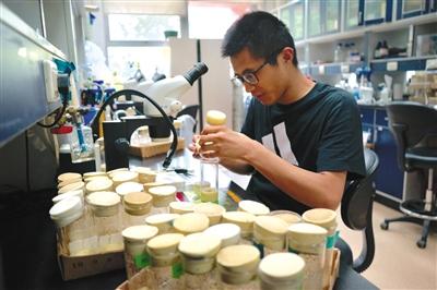 点击进入下一页