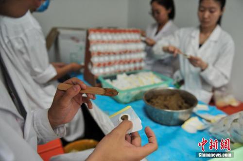 资料图：云南省中医院的医生制作“三伏贴”。中新社记者 任东 摄