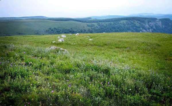 花坡山地的原生态环境秀美，野花遍地