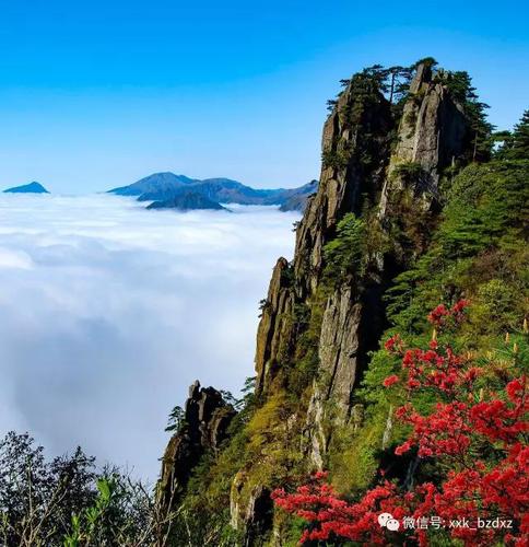 微信图片_20190722100426