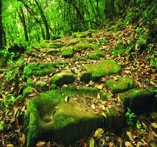 微信图片_20190722110623 微信图片_20190722110623