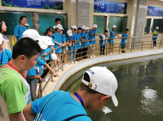 微信图片_20190725095430 微信图片_20190725095430