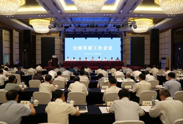 摄影:宋峥 摄影:宋峥