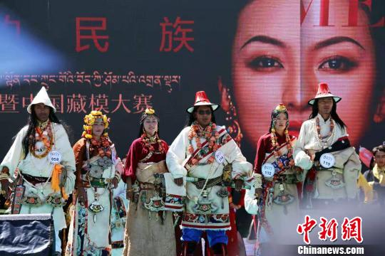 图为参加藏模大赛的选手?！≌粤菟?摄