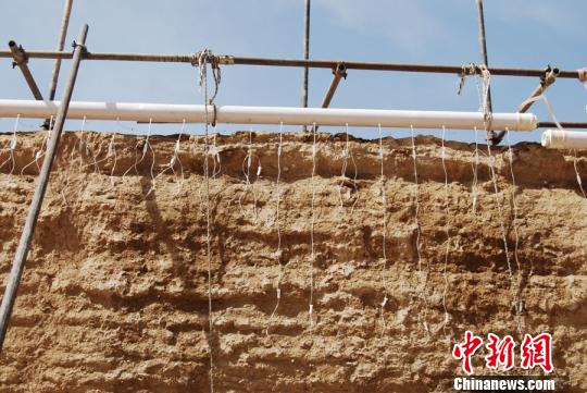 图为嘉峪关长城布满针管，“输液”挂吊瓶。实施该保护方法是对土质较为疏松墙体采用输液形式，注入防风化材料，提高渗透深度，提升墙体密实度。(资料图) 钟欣 摄