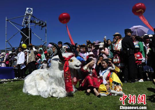 藏区传统民俗“嫁接”现代元素：草原“诉”乡愁