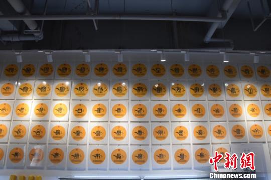 宋旦汉字艺术走进俄罗斯以字为“媒”庆中俄建交70周年