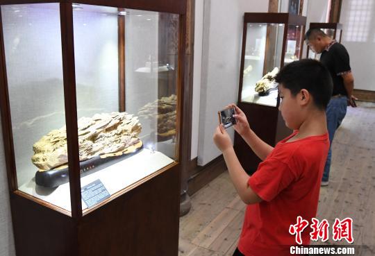 “青蓝门径·福建青年艺术家雕刻作品展”正在福州福建省海峡民间艺术馆展出。　记者刘可耕 摄