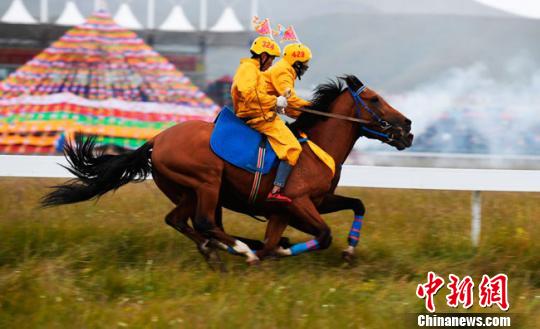 图为赛马选手在进行激烈的追逐?！⊙钛廾?摄