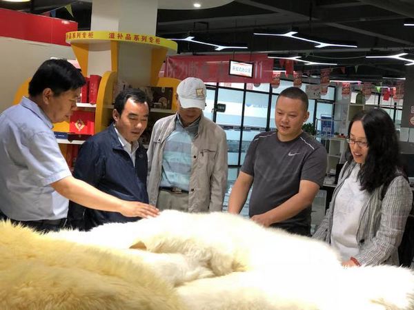 B20190816003-zx7 B20190816003-zx7