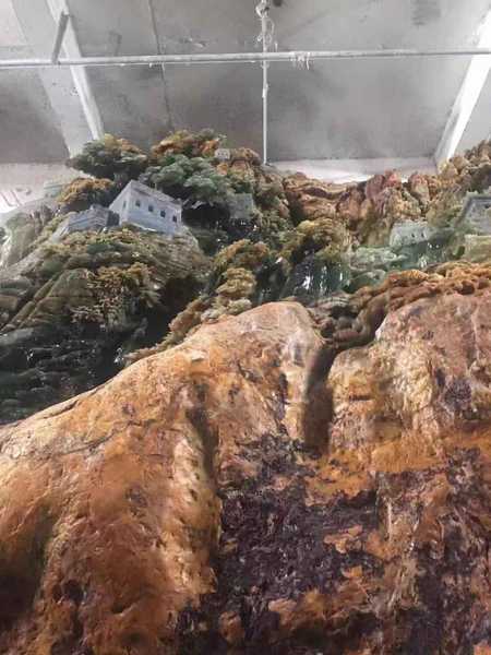 微信图片_201908161721542