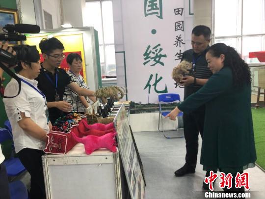 此次展览吸引了八方游客前来观赏?！≌潘?摄