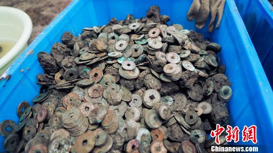 被挖出的古钱币。　杨立超 摄