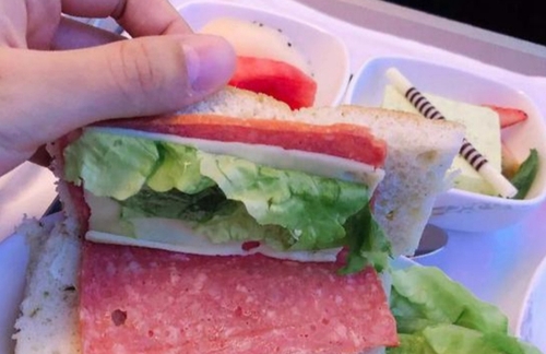 飞机餐缩水为安全？网友：就差压缩饼干配凉白开了