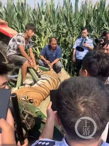 d3a460df56bb45aa9ba61fad835015dd.jpg 微信图片_20190907105857.jpg