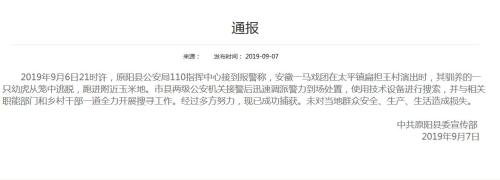 原阳县政府官网截图 点击进入下一页