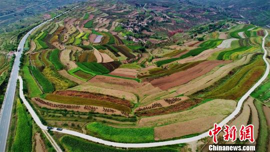 图为定西市安定区经过多年水土流失治理后，沟壑间“披绿覆土”。(资料图) 李昊 摄