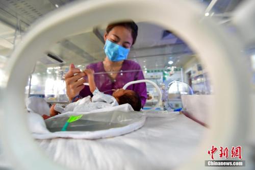 资料图 <a target='_blank' href='http://www.chinanews.com/'>中新社</a>记者 翟羽佳 摄 点击进入下一页