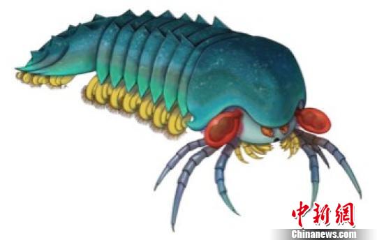 古生物学家发现目前已知最古老螯肢类节肢动物