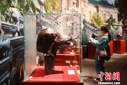 圆明园兽首 杜洋 摄