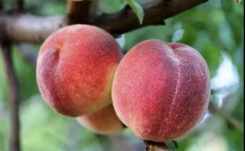 微信图片_20190919141124 微信图片_20190919141124