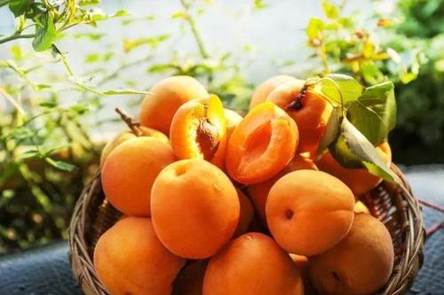 微信图片_20190919141127 微信图片_20190919141127