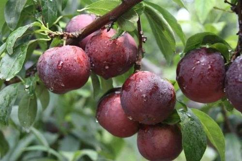 微信图片_20190919141131 微信图片_20190919141131