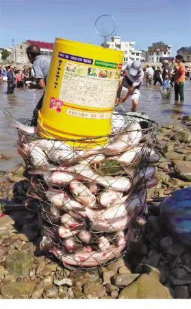 2291509608 2291509608