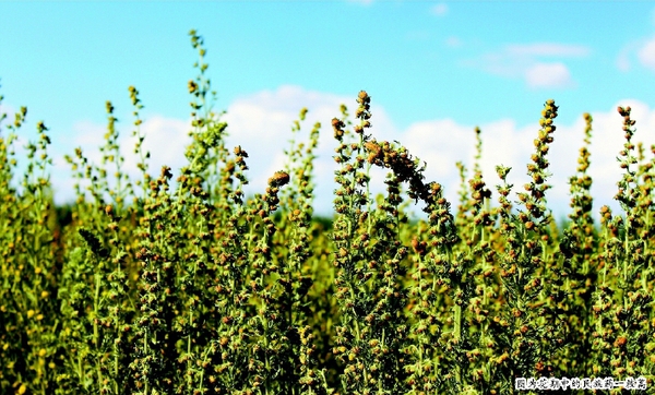 彩C2019-09-25zx501_P_1_430_555_1544_1228 彩C2019-09-25zx501_P_1_430_555_1544_1228