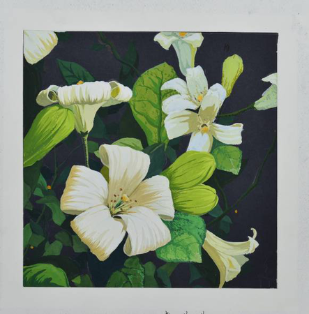 （部分获奖学金学生作品）1