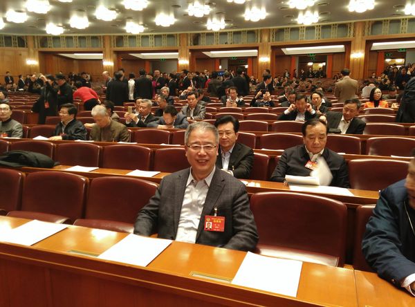 12--2017年3月，许进出席第十二届全国政协第五次大会